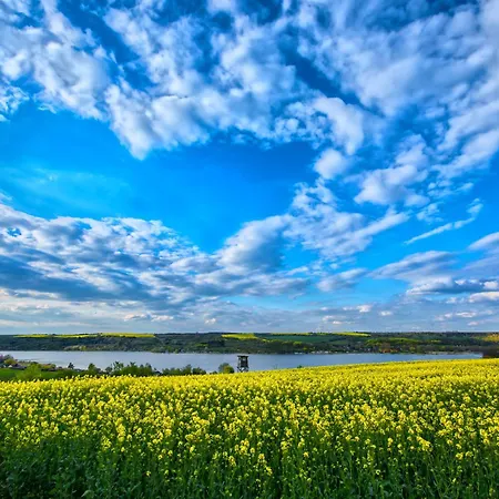 Апартаменты Seese Am Wansleben